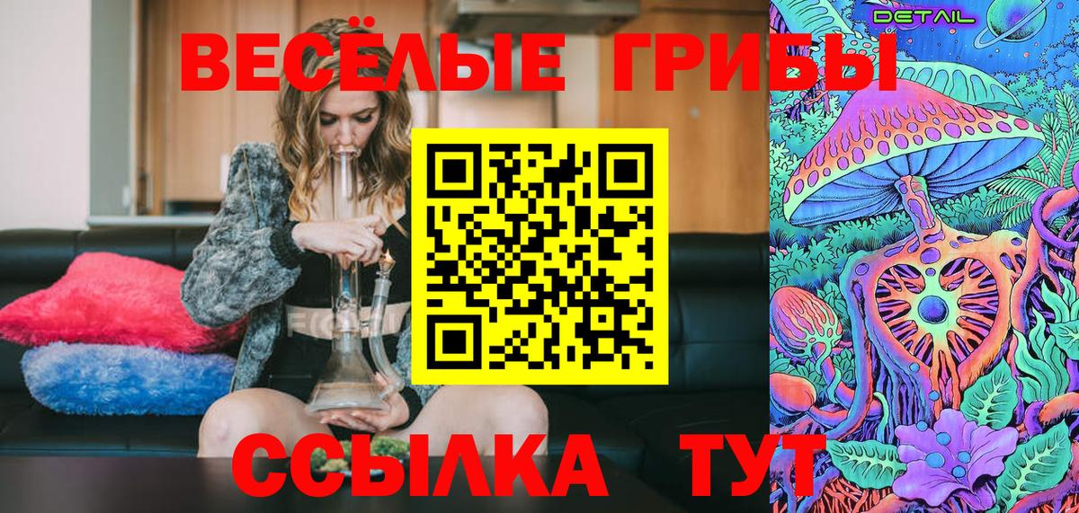 Псилоцибиновые грибы Psilocybine cubensis  Вход с VPN  Псилоцибиновые грибы Psilocybine cubensis  Елец 